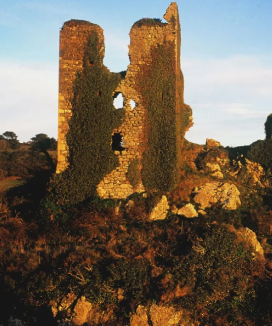 Ruined stone tower covered in green ivy, standing on a rocky hill against a clear blue sky during sunset, inspiring home decor ideas with its natural elegance.