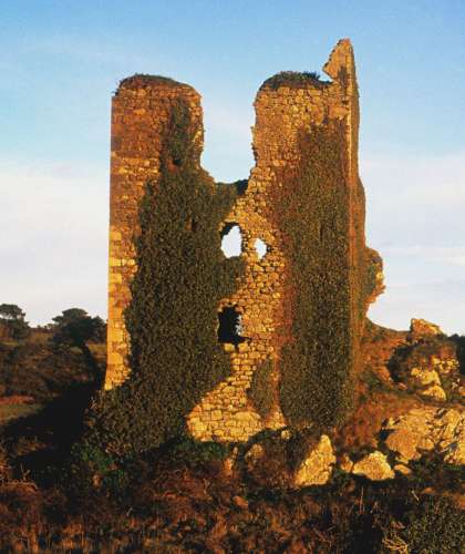 Ruins of Dunhill Castle, partially covered in climbing green ivy, standing under a blue sky.