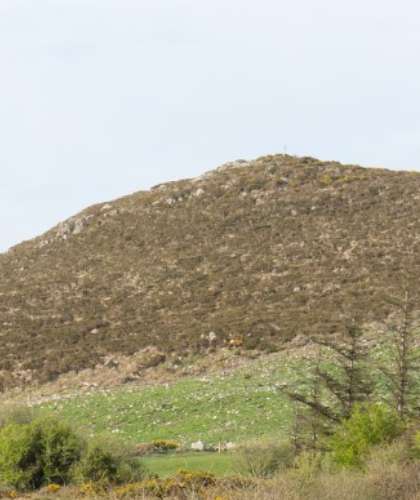 A gentle hill dotted with shrubs under a cloudy sky, with hints of greenery at its base suggesting a natural, tranquil landscape dedicated to wetland conservation.