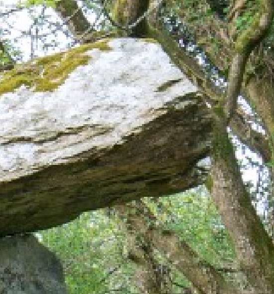 Gaulstown Dolmen - Copper Coast