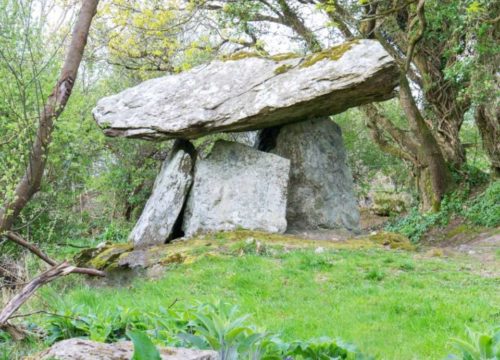 An ancient megalithic tomb nestled in a lush green woodland, its large capstone resting on upright stones at Gaulstown Dolmen.