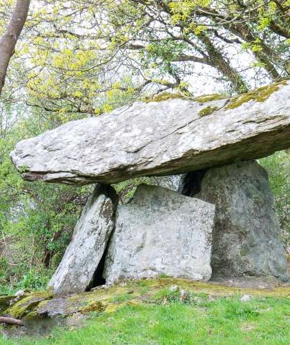 A megalithic tomb nestled in a verdant forest, its large capstone resting atop upright supporting stones—remnants of prehistoric architecture.