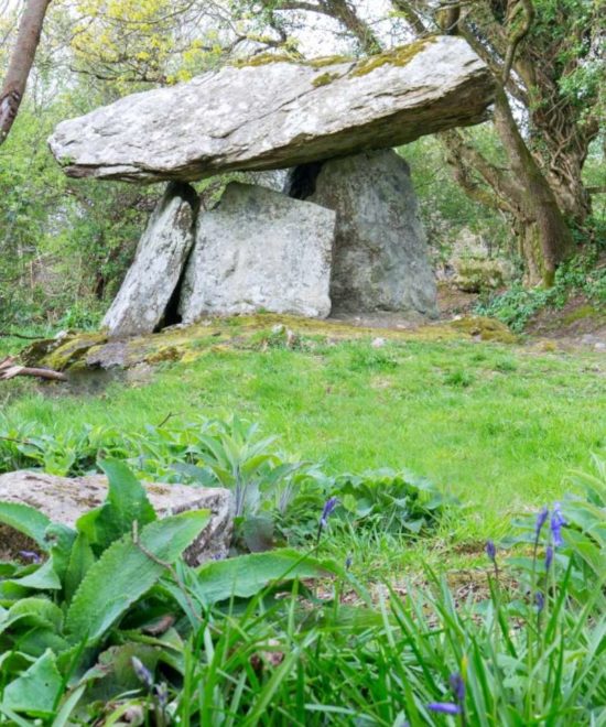 A megalithic tomb stands amidst lush greenery, a testament to prehistoric engineering and mystery, partially concealed by vibrant flora.