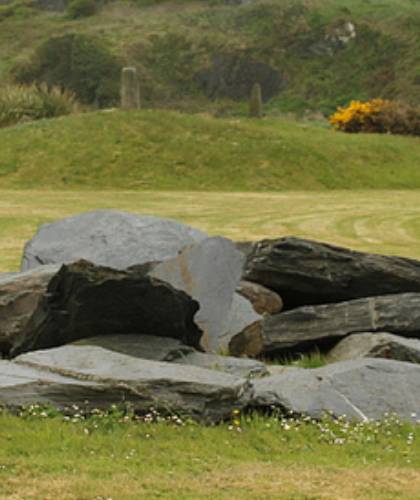 A tranquil scene of large rocks scattered across a grassy landscape with gentle slopes and a hint of yellow flowers in the distance invites visitors to this geological garden.